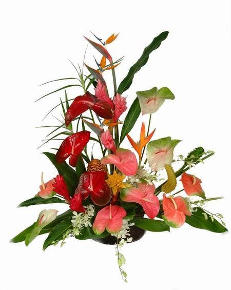 Tropical Exotic Flower Arrangement Cincinnati Florist Adrian Durban